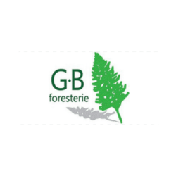 GBFOREST